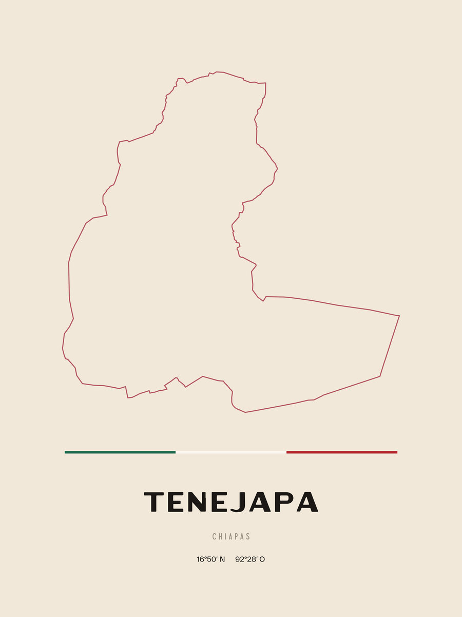 Framed poster of Tenejapa, Chiapas.