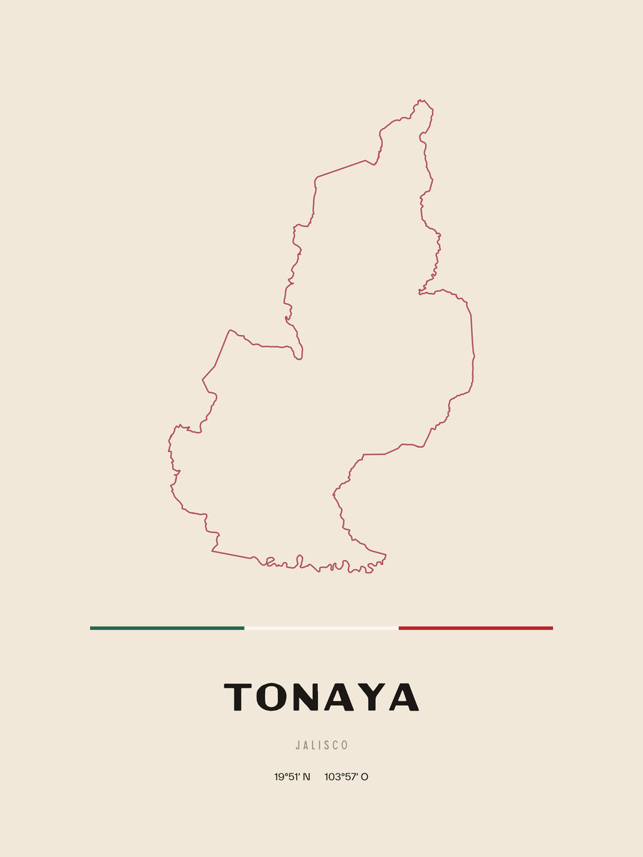 Framed poster of Tonaya, Jalisco.