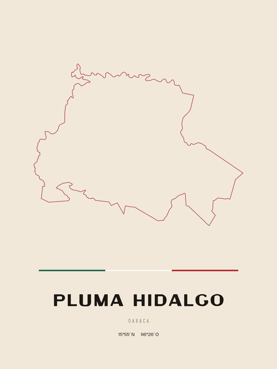 Framed poster of Pluma Hidalgo, Oaxaca.