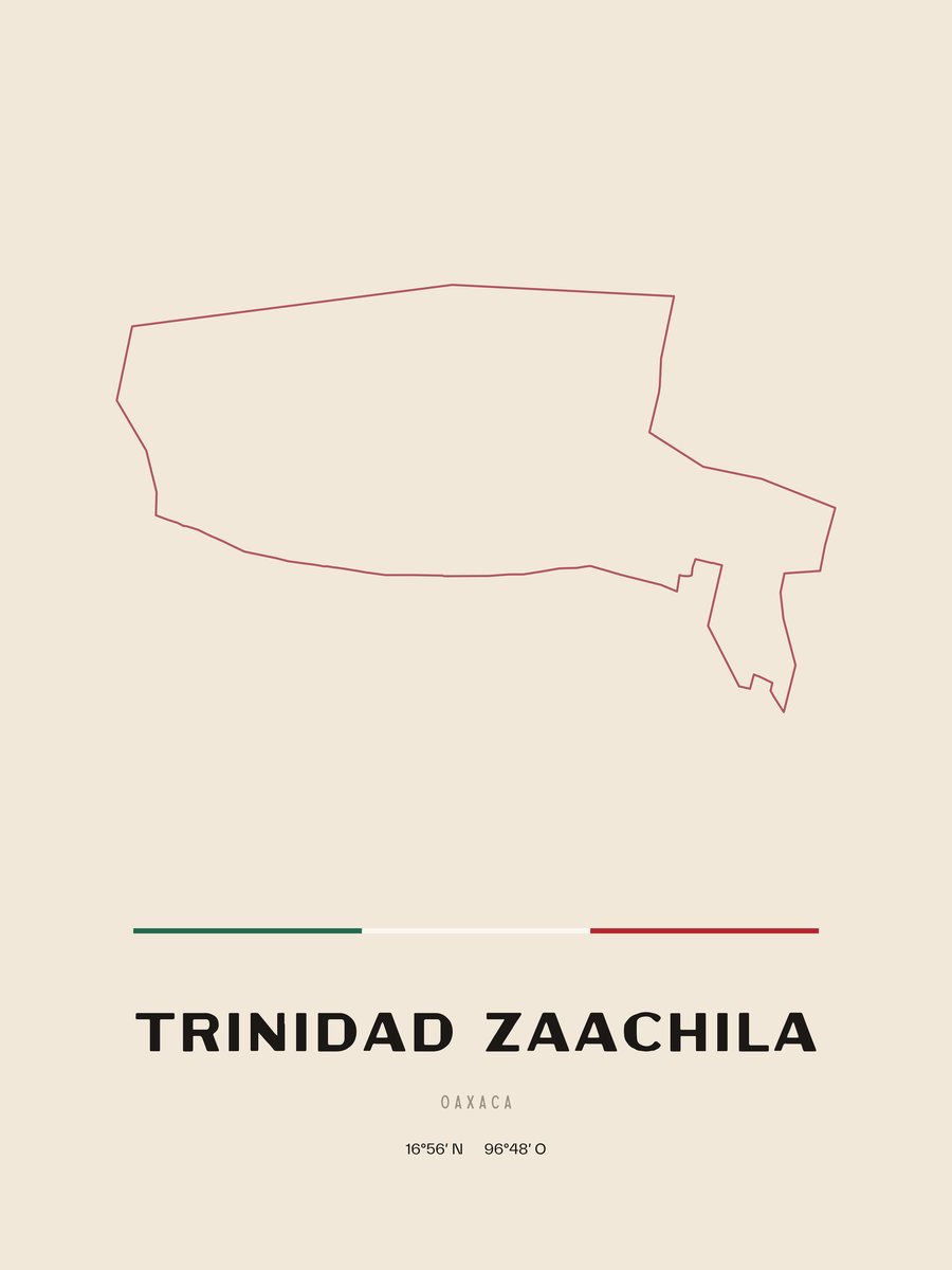 Framed poster of Trinidad Zaachila, Oaxaca.