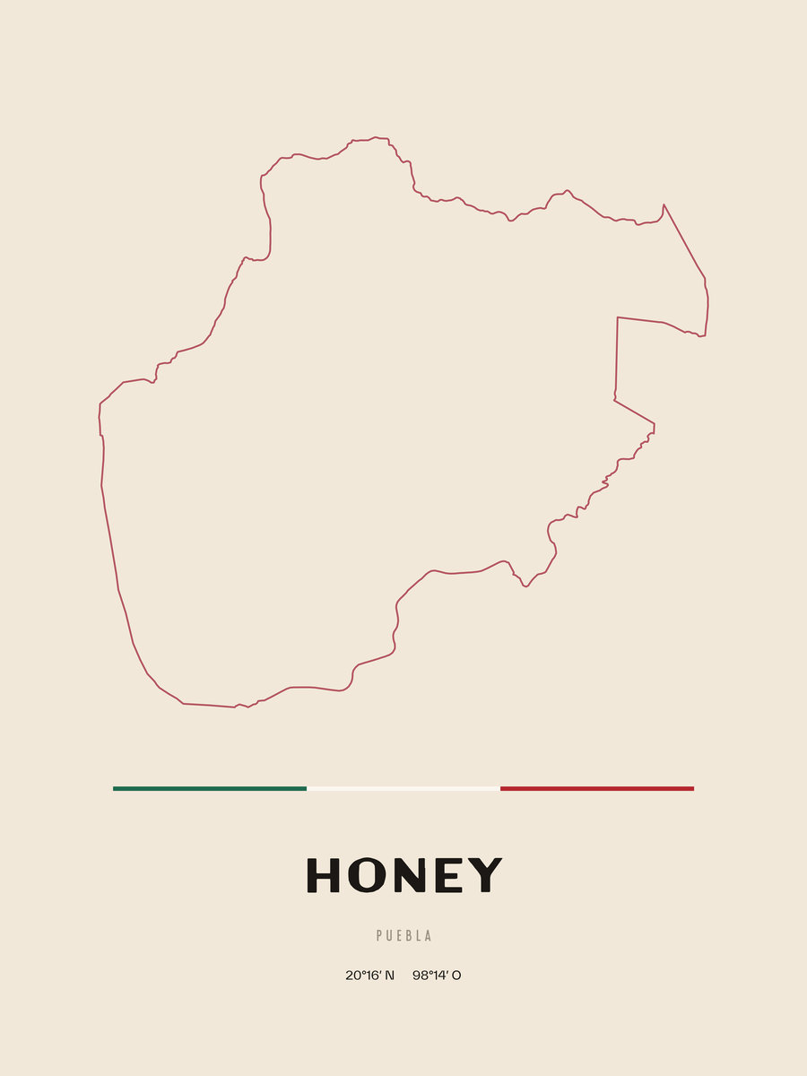 Framed poster of Honey, Puebla.